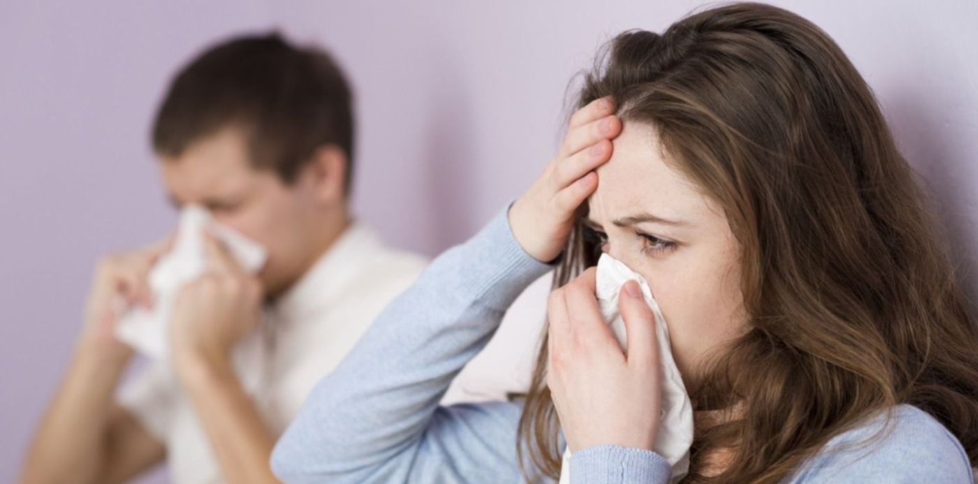 1587694125026.jpg?x=10&y=17&width=1473&height=737&rotate=0&scaleX=1&scaleY=1&ow=1500&oh=1001&&cw=1920&ch=950