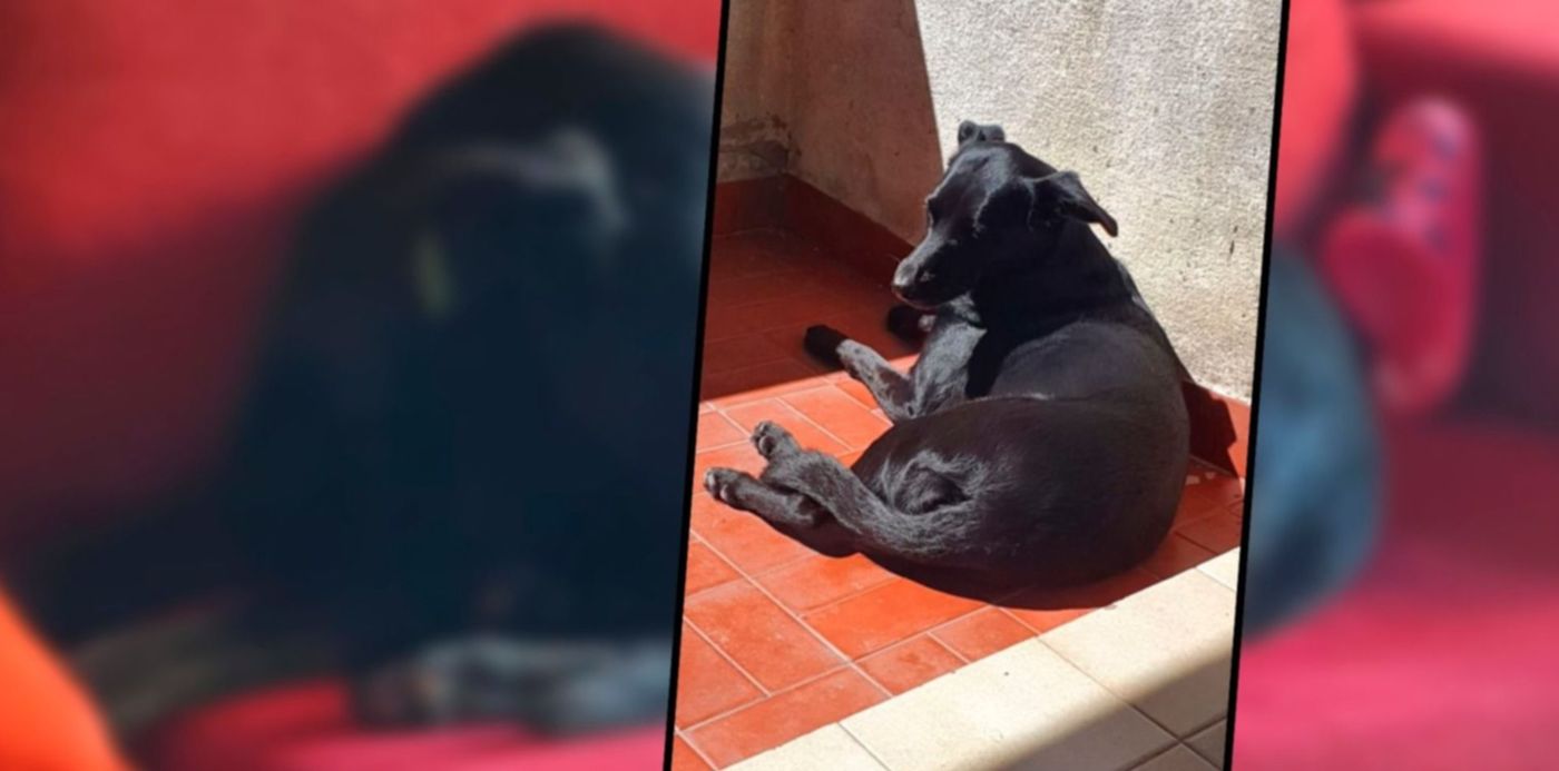 1643475472675.jpg?x=2&y= 3&width=1496&height=748&rotate=0&scaleX=1&scaleY=1&ow=1500&oh=742&&cw=1920&ch=950