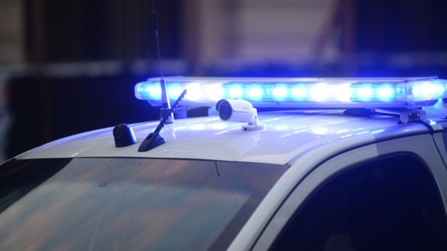 ladrones entraron a robar a una casa y mataron al perro por defender a sus duenos