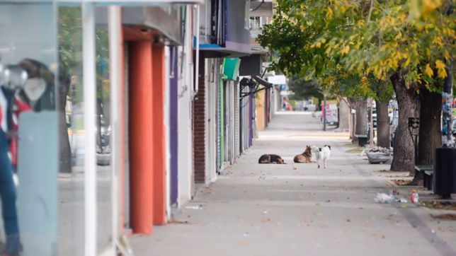 ¿que dice el decreto del feriado nacional por el intento de asesinato a cristina kirchner?