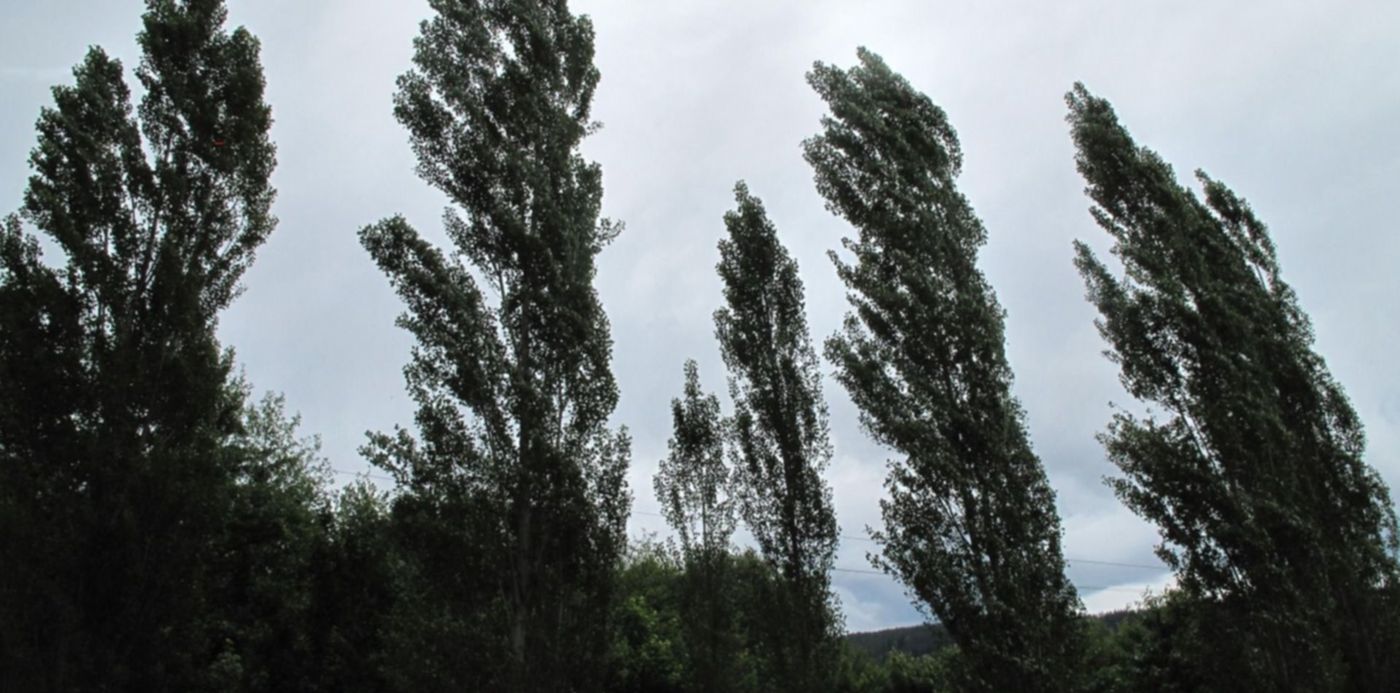 1641937869315.jpg?x=27&y=69&width=1452&height=726&rotate=0&scaleX=1&scaleY=1&ow=1500&oh=842&&cw=1920&ch=950