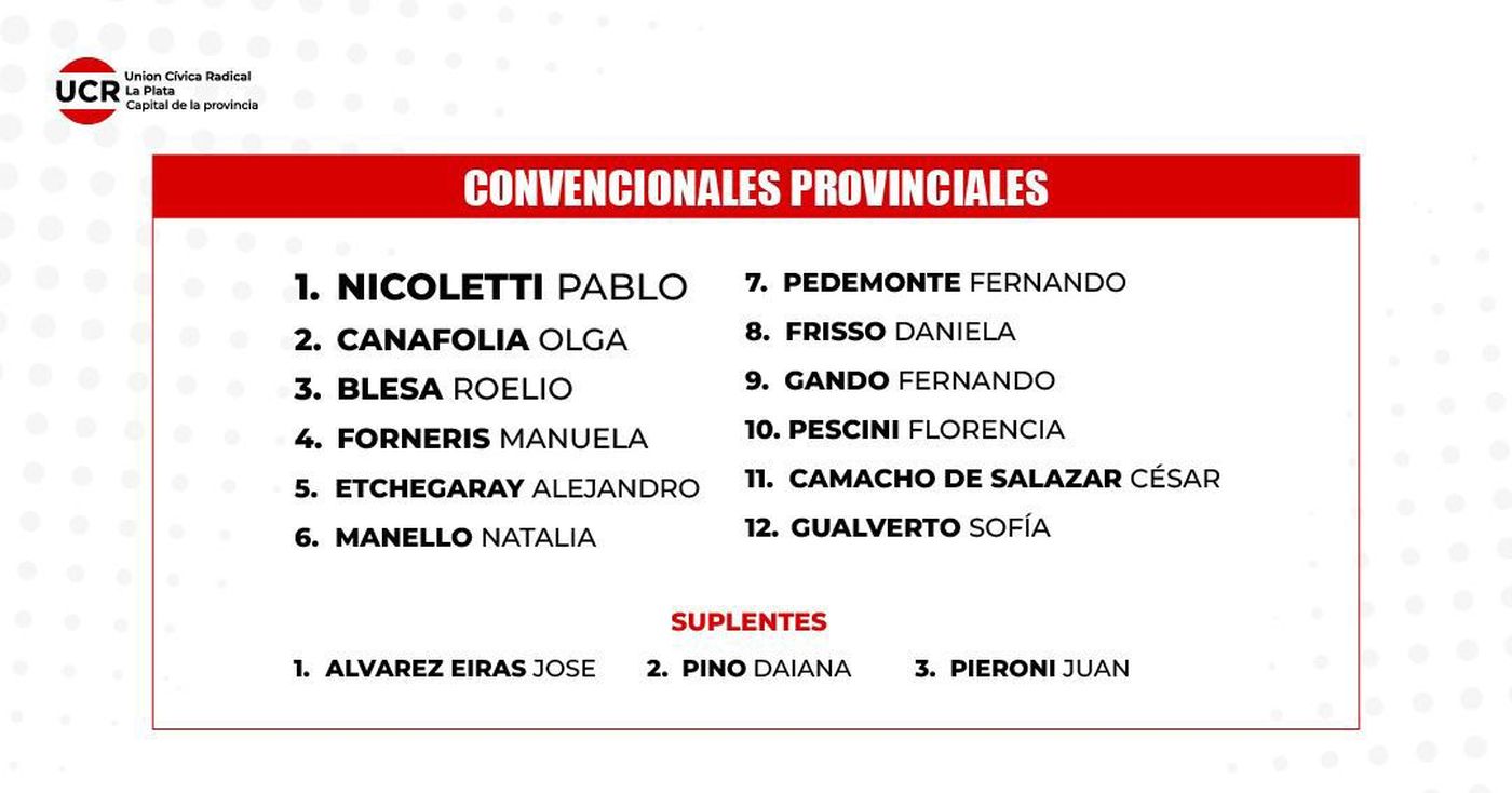 Pablo Nicoletti pasó a la Convención Provincial