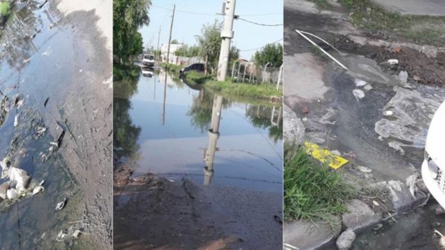 un asco: bronca contra absa en berisso por el desborde de una cloaca