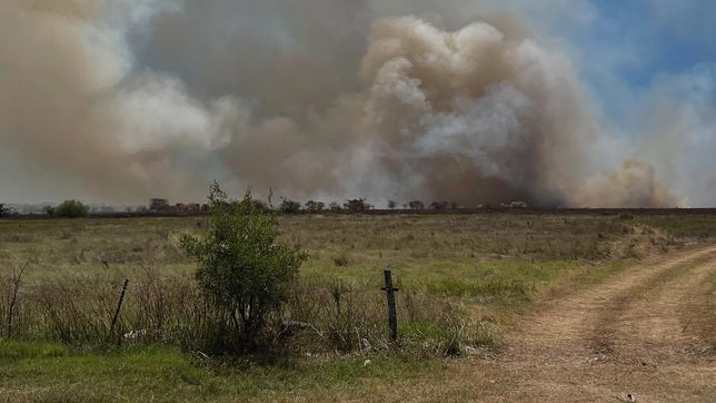 mas de 70 bomberos trabajan para apagar los focos activos en la reserva de punta lara