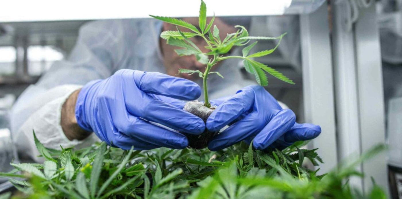 1568645583454.jpg?x=7&y=143&width=1487&height=743&rotate=0&scaleX=1&scaleY=1&ow=1500&oh=1000&&cw=1920&ch=950