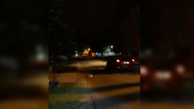 video: asi se corren las picadas de motos que no dejan dormir a los vecinos