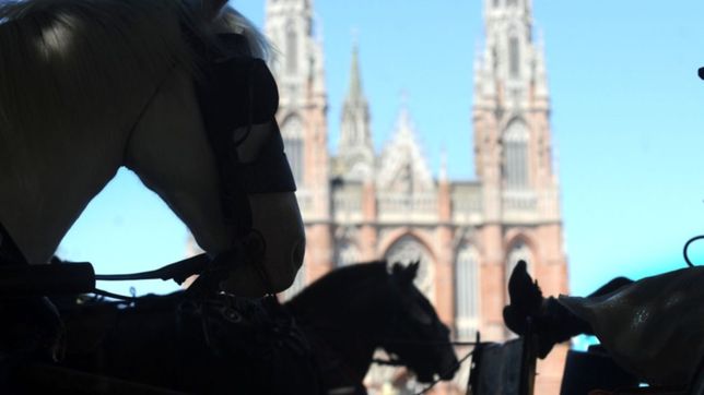 un estudio de la unlp arrojo datos alarmantes sobre la pobreza en argentina