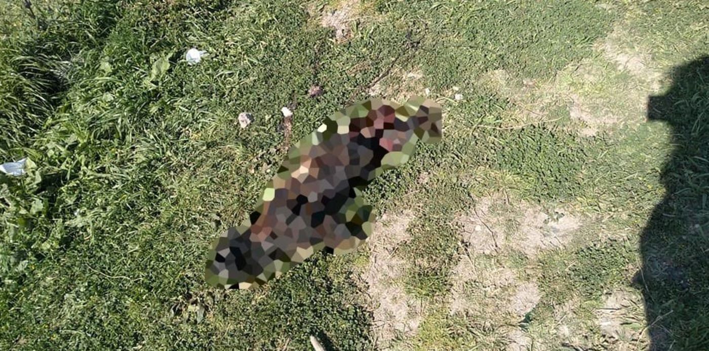 1569717082621.jpg?x=2&y=39&width=955&height=477&scaleX=1&ow=960&oh=540&rotate=0&scaleY=1&&cw=1920&ch=950