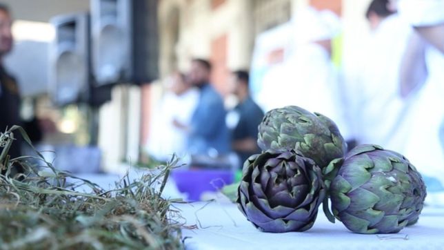 musica, degustaciones y charlas: el cronograma de la fiesta del alcaucil en la plata