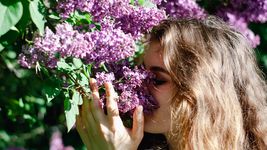 lo que la primavera te hace estornudar y no siempre es alergia