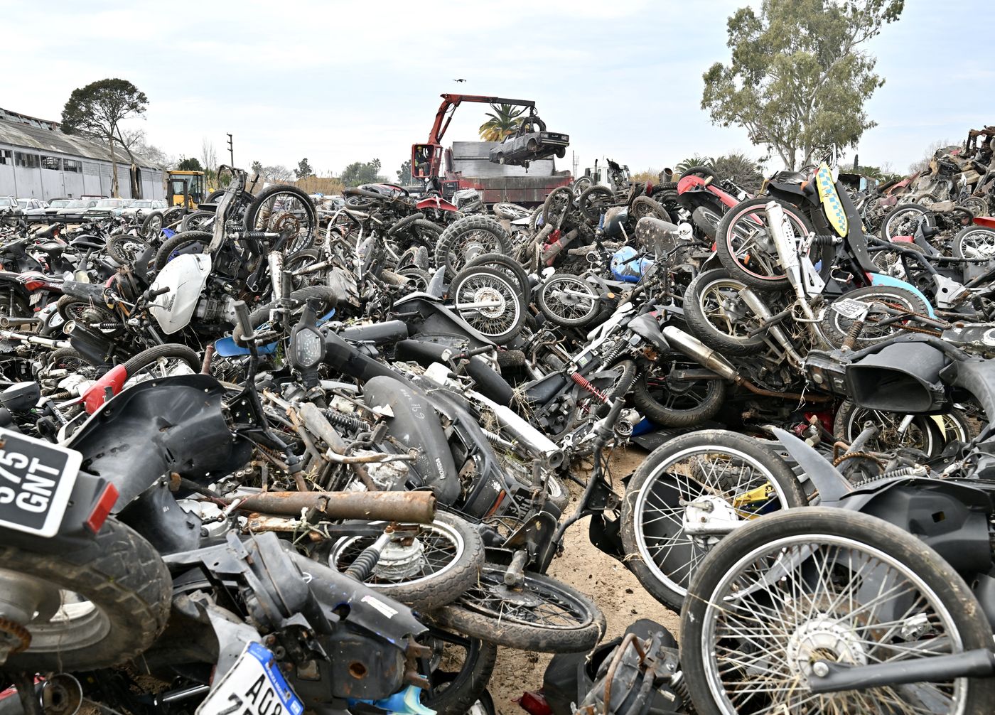 Compactación de autos (1).JPG