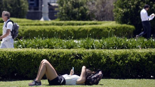 la vitamina d puede recudir hasta un 52% las probabilidades de morir por coronavirus