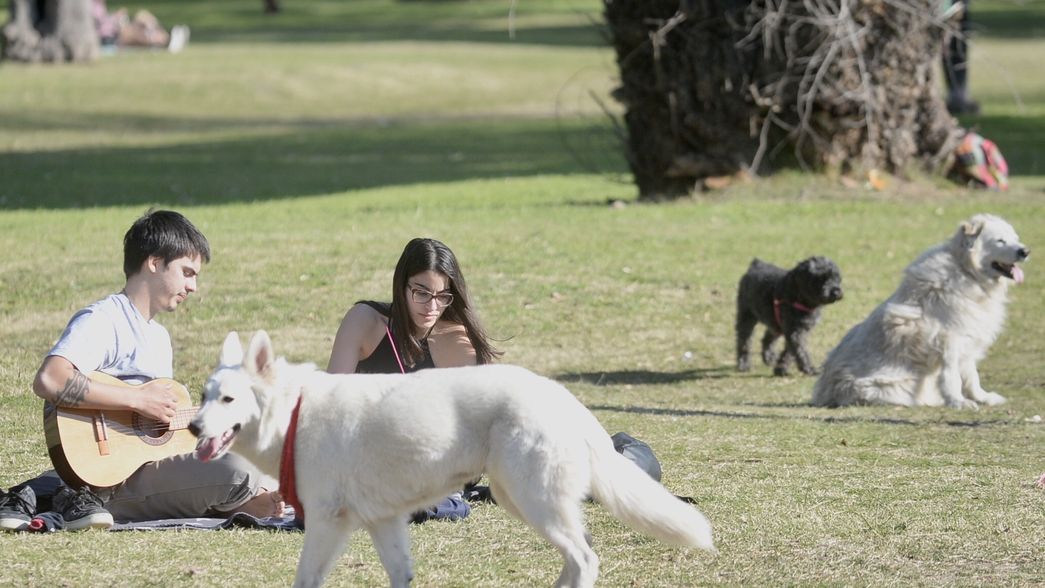 Clima primaveral y sin lluvias en el arranque del fin de semana