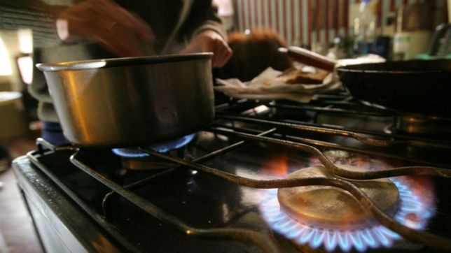 el gobierno postergo hasta marzo los aumentos en tarifas de luz y gas