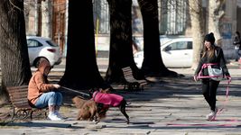 fresco y con lluvias en el horizonte: asi estara el clima en la plata esta semana