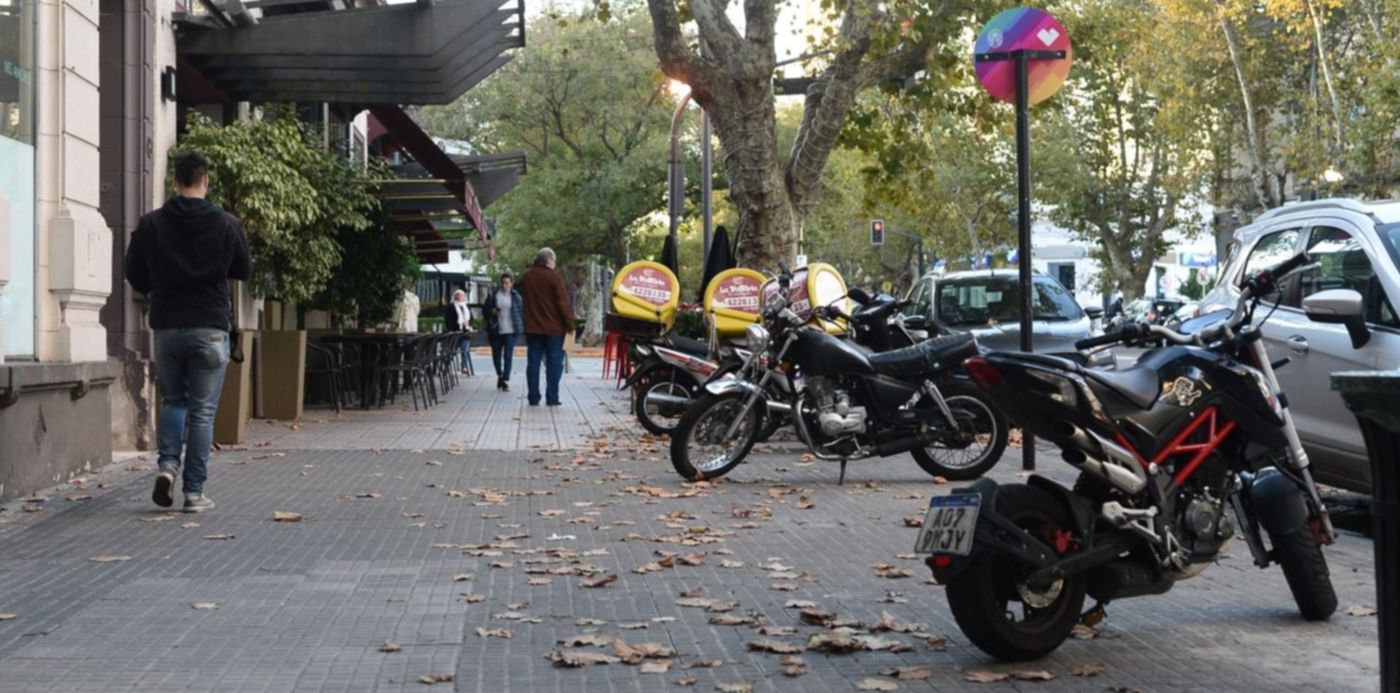 1557520899893.jpg?width=1486&rotate=0&scaleY=1&ow=1500&oh=996&x=7&y=168&height=743&scaleX=1&&cw=1920&ch=950