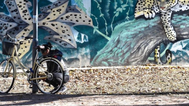 llego el frio a la plata y asi seguira el clima durante los proximos dias