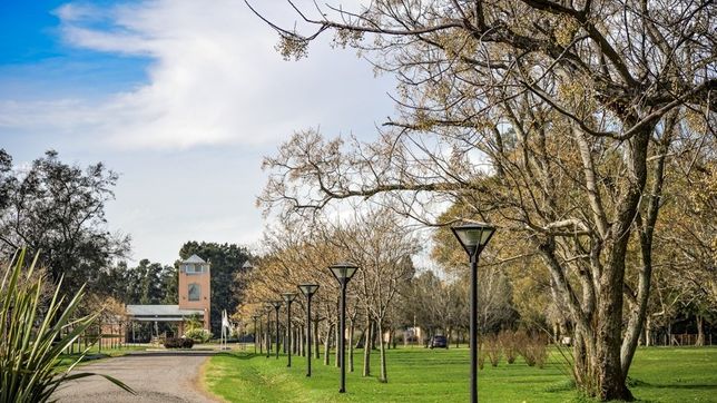 saquearon seis casas de un barrio privado de ruta 2 y los vecinos denuncian zona liberada
