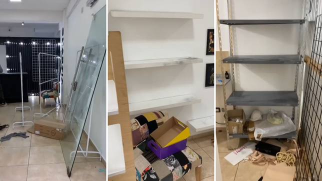 desvalijaron un showroom en la plata: se llevaron hasta las plantas