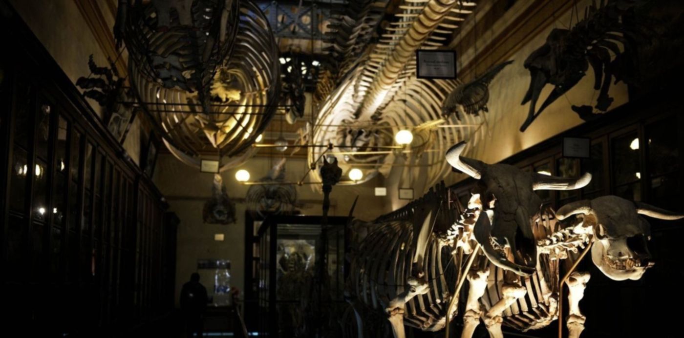 1543013098579.jpg?&cw=1920&ch=950