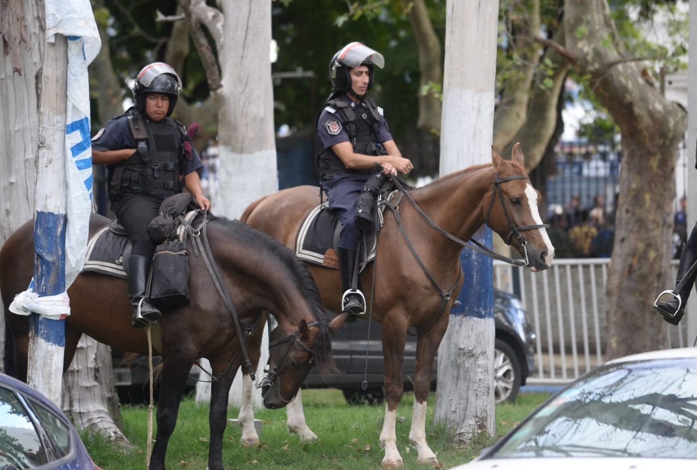 Hinchas Gimnasia Bosque 14.jpeg