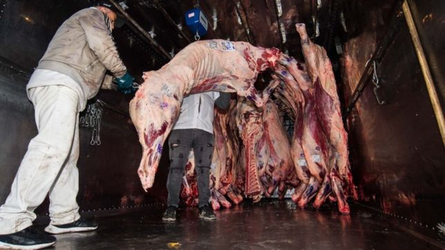 un transportista se bajo de un camion, se descompenso y murio en la plata