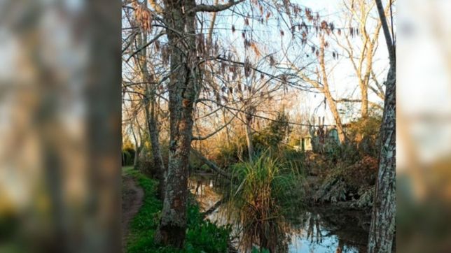 isla, monte y zanjones: asi es el lugar donde murio ahogado un nene de un ano y medio