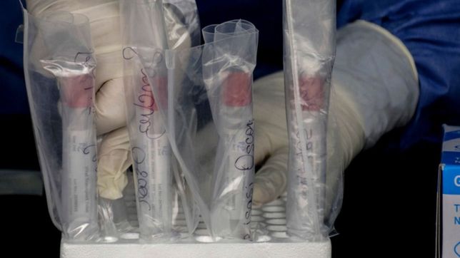 omicron y las reinfecciones: ¿cada cuanto tiempo una persona se puede volver a contagiar?