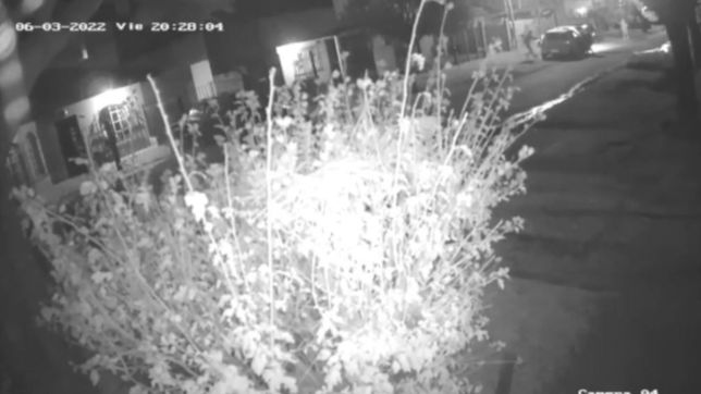video: disparos, conmocion y milagro en un intento de entradera en la plata