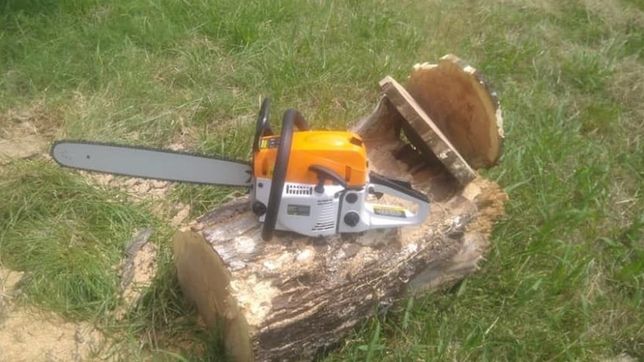 detuvieron a una pareja por cortar arboles con una motosierra en el parque pereyra