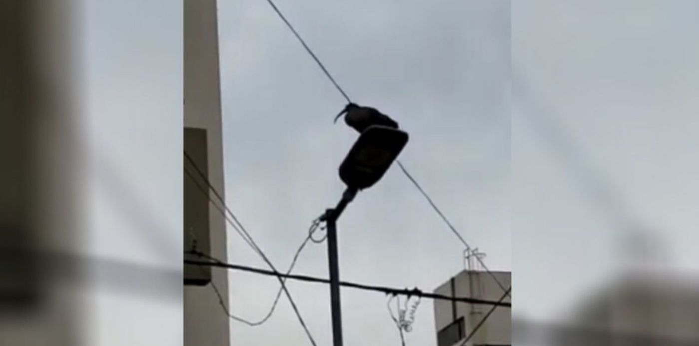 1594521774389.jpg?x=34&y=4&width=1270&height=635&rotate=0&scaleX=1&scaleY=1&ow=1350&oh=650&&cw=1920&ch=950