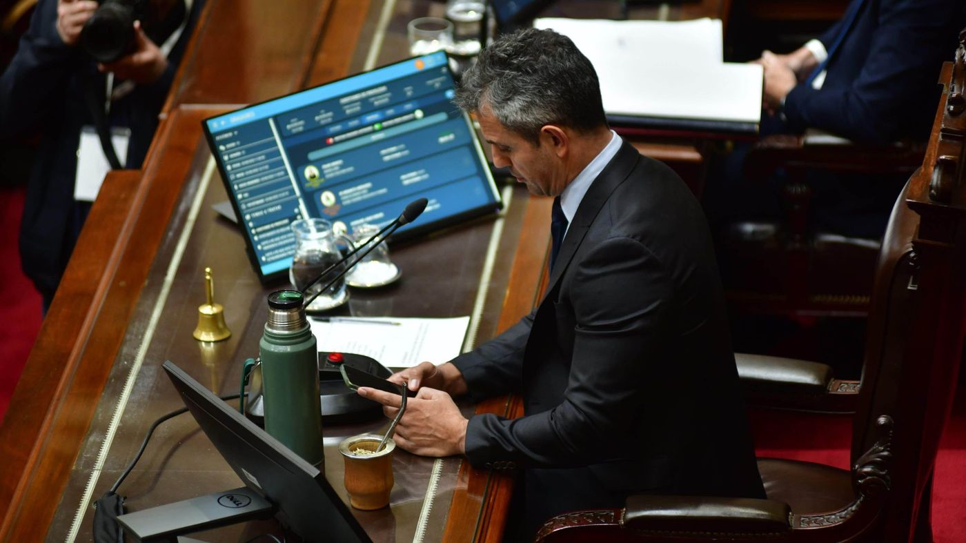 Martín Menem diputados