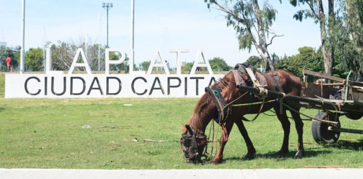 1550759236318.jpeg?x=8&y=196&width=1221&height=610&rotate=0&scaleX=1&scaleY=1&ow=1232&oh=820&&cw=1920&ch=950