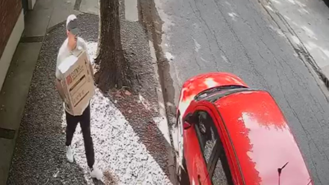 asi fue el secuestro de la joven de la plata que fue abusada en el parque pereyra iraola