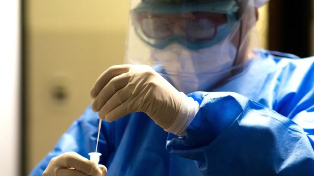 explican por que el covid-19 es una enfermedad vascular y no respiratoria