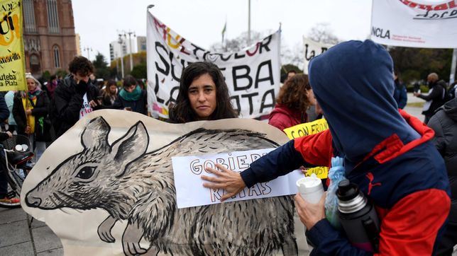 en plena situacion de brote de hantavirus, docentes de la plata marcharon por las ratas en las escuelas