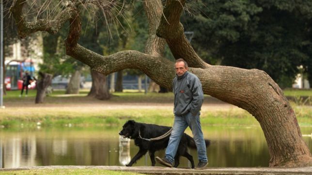 despues del agobiante calor llego el alivio y esperan una maxima de solo 26°c