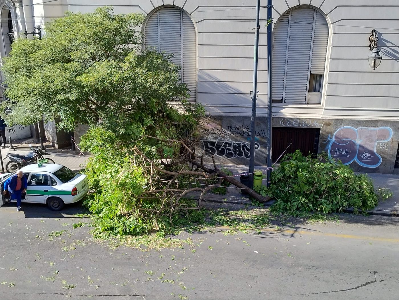 WhatsApp Image 2024-05-18 at 10.39.41.jpeg