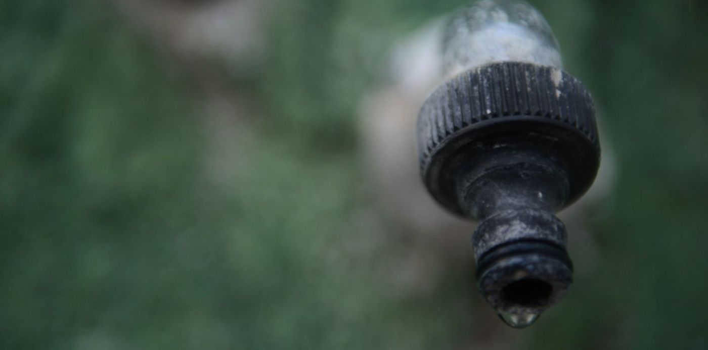 1580776083484.jpg?x=17&y=198&width=1466&height=733&rotate=0&scaleX=1&scaleY=1&ow=1500&oh=996&&cw=1920&ch=950