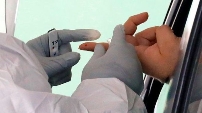 un estudio revelo que los anticuerpos del coronavirus durarian 5 meses en el cuerpo