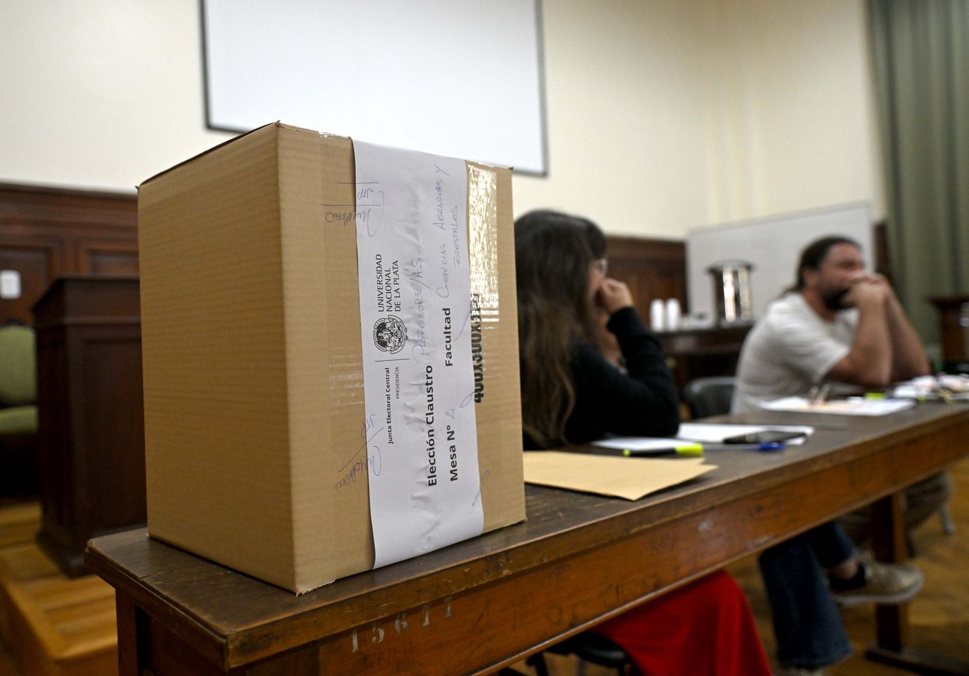 elecciones unlp claustro profesores-305