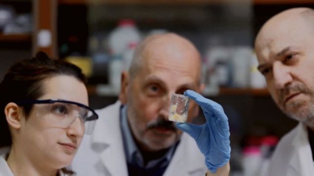 expertos de la unlp estudian un antibacterial para combatir microorganismos perjudiciales