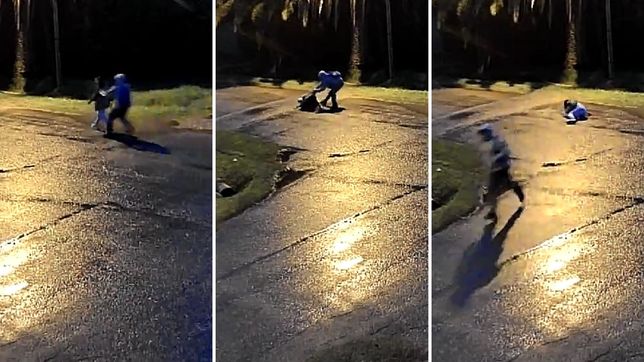 iba a la facultad y fue brutalmente atacada en un barrio cercano a la plata