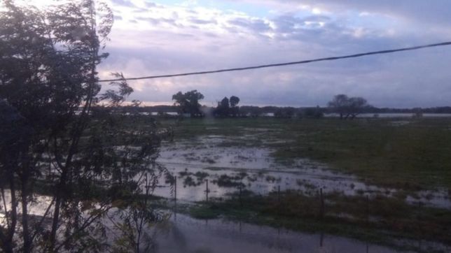 apuntan contra la municipalidad por la apertura de una calle en un humedal protegido