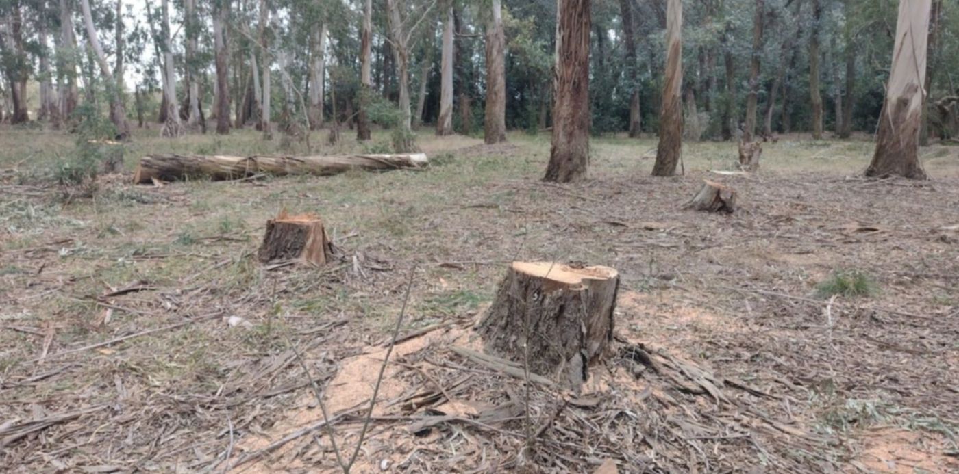 1656267050062.jpg?x=6&y=91&width=1488&height=744&rotate=0&scaleX=1&scaleY=1&ow=1500&oh=843&&cw=1920&ch=950