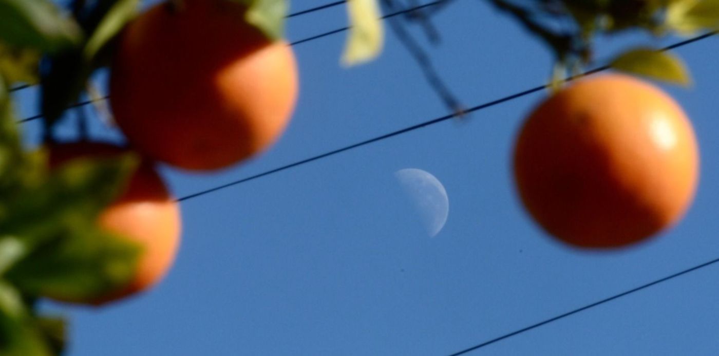 1652543380958.jpg?x=10&y=94&width=1490&height=745&rotate=0&scaleX=1&scaleY=1&ow=1500&oh=923&&cw=1920&ch=950