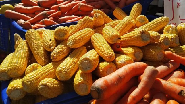 patearon en las costillas a la duena de una verduleria de la plata y le robaron $70 mil