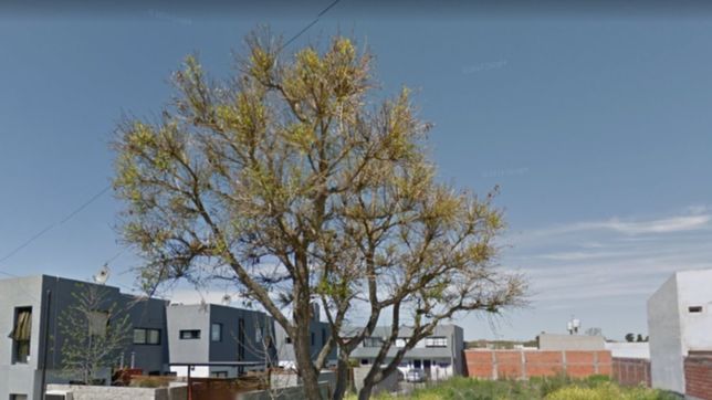 encontraron a una nena de 3 anos muerta en la vereda de su casa