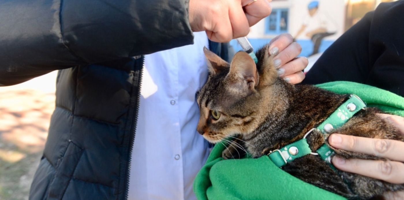 1560818210415.jpeg?x= 13&y=198&width=1526&height=763&rotate=0&scaleX=1&scaleY=1&ow=1500&oh=996&&cw=1920&ch=950