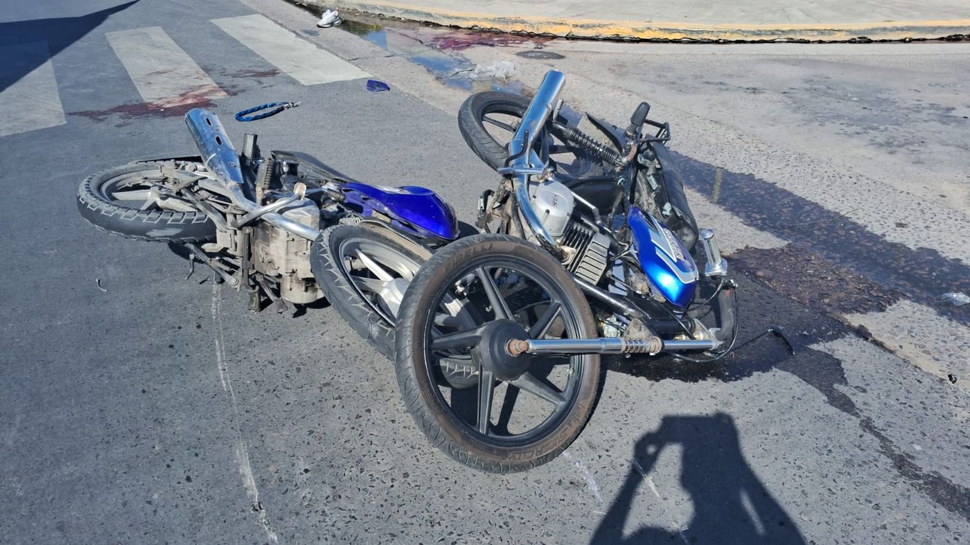 WhatsApp Image 2024-01-03 at 17.59.56.jpeg